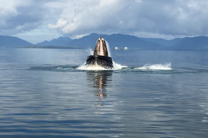 a small boat in a body of water