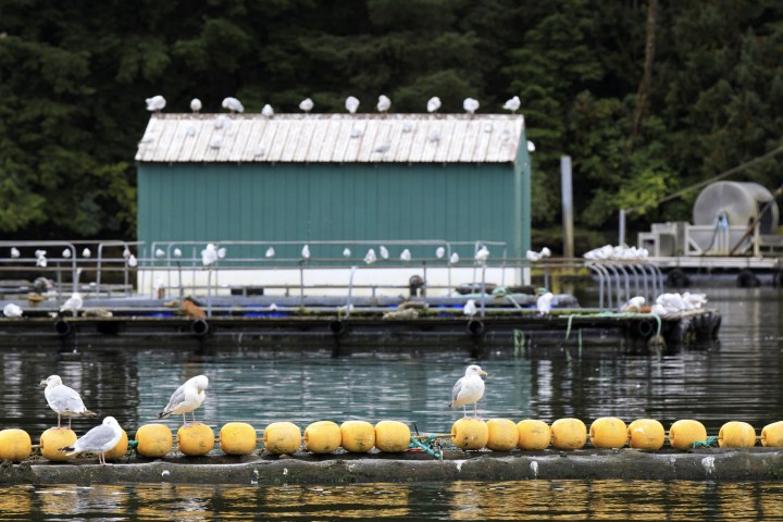 a group of people on a boat in the water